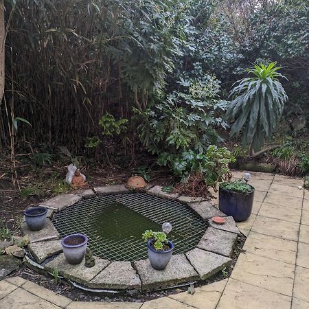 The Garden Apartment St Ives Zewnętrze zdjęcie