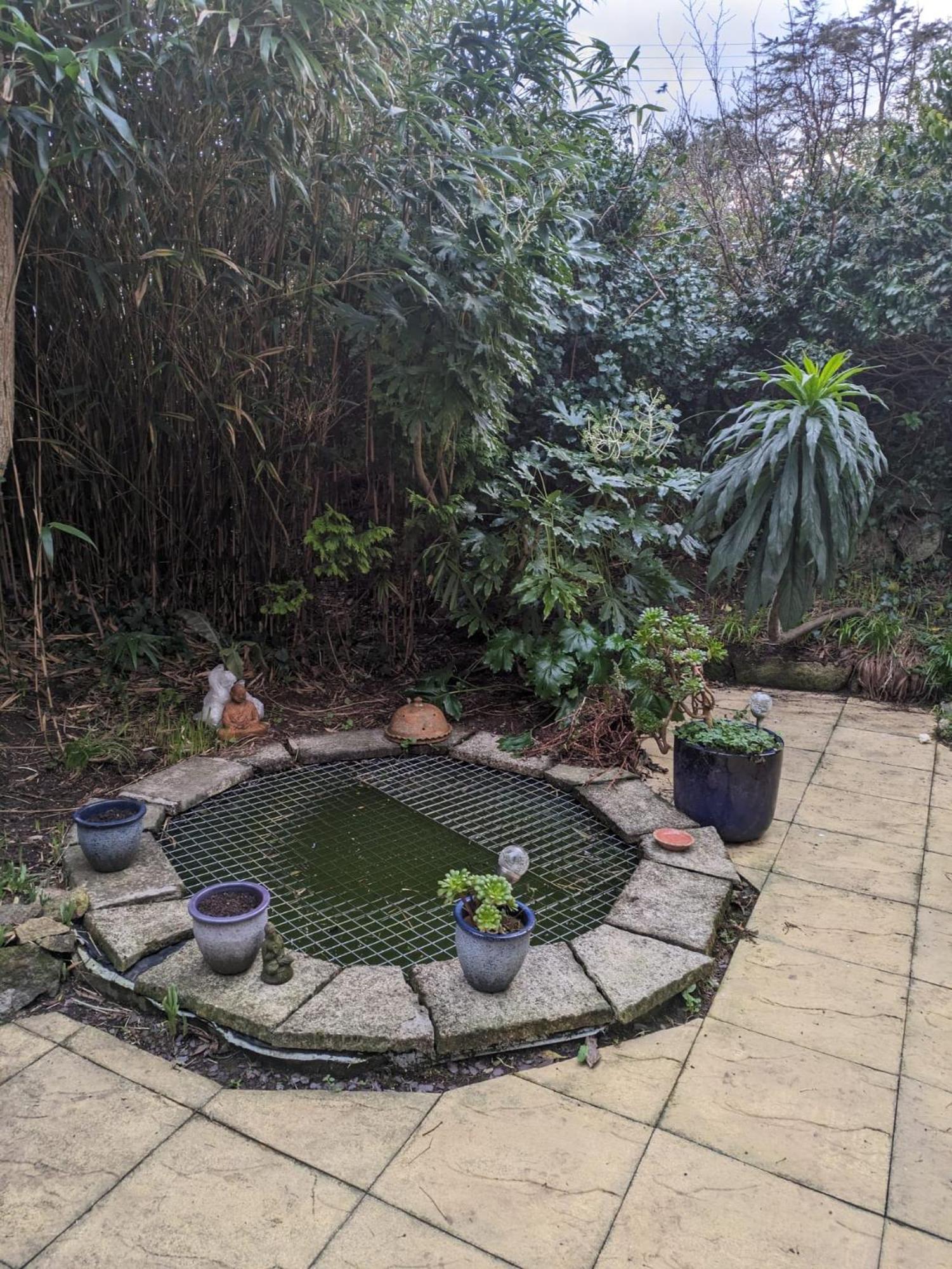 The Garden Apartment St Ives Zewnętrze zdjęcie